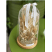 Cloche L